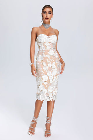 Lumina - Oval Lace Tube Midi Dress